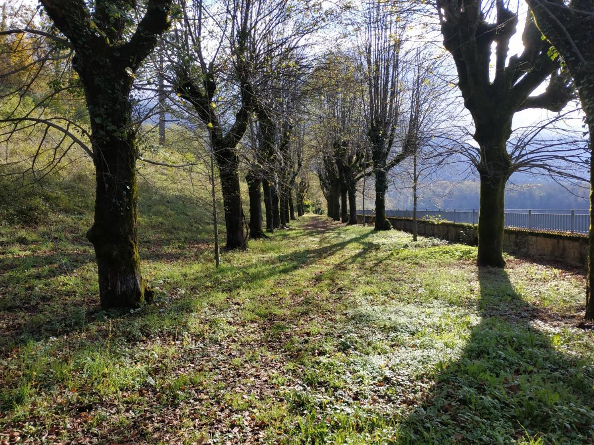 Appartement Chateau Uriage-Chamrousse Saint-Martin-d'Uriage ภายนอก รูปภาพ